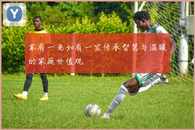 家有一老如有一宝传承智慧与温暖的家庭价值观